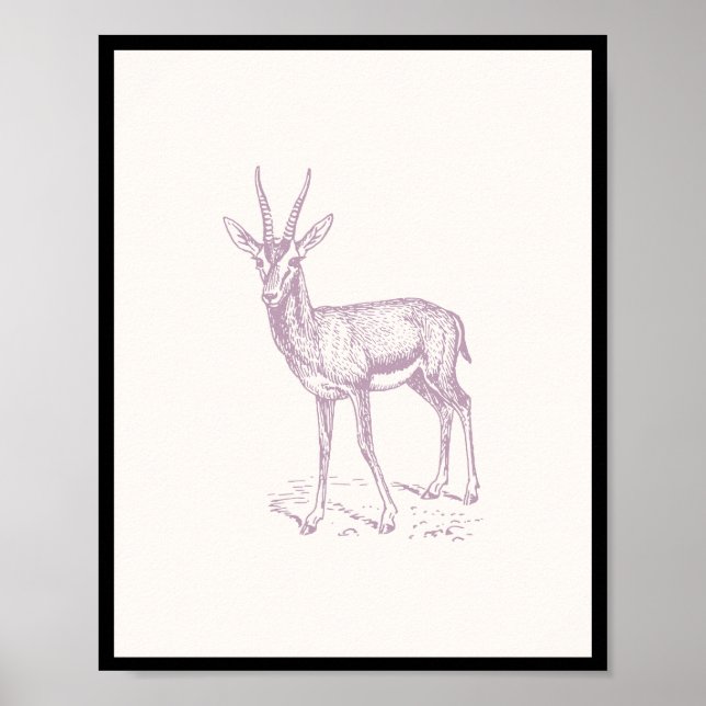 Gazelle Hjort Poster (Framsidan)