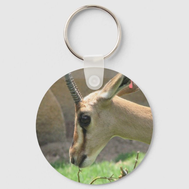 Gazelle Keychain Nyckelring (Framsida)
