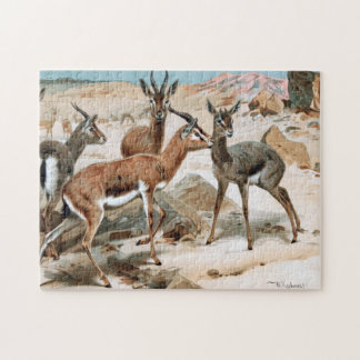 Gazelle Pussel