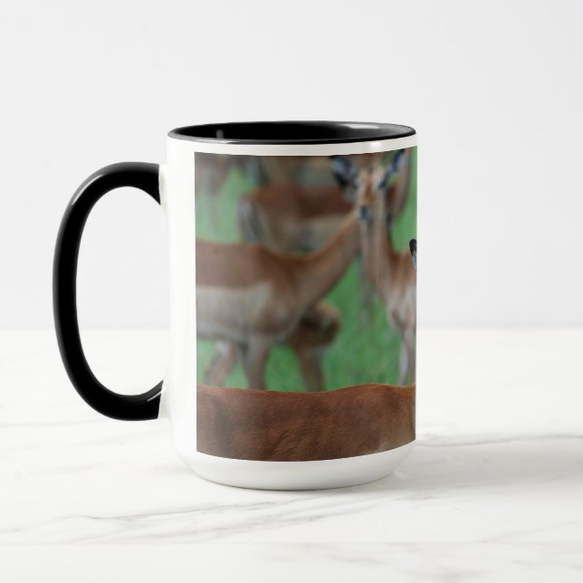 Gazellmugg Mugg (Vänster)