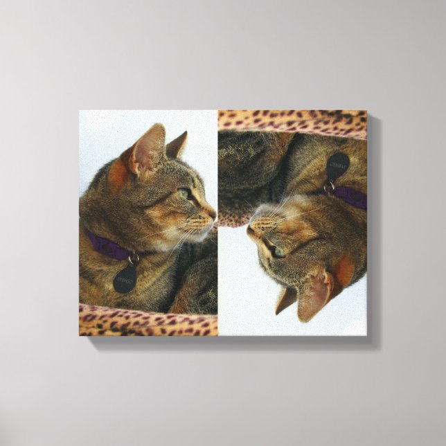 Gazing Indigo Canvastryck (Framsida)