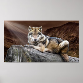 Gaznings-Varg Poster