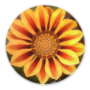 Gazonia Flower Door Knob Knopp