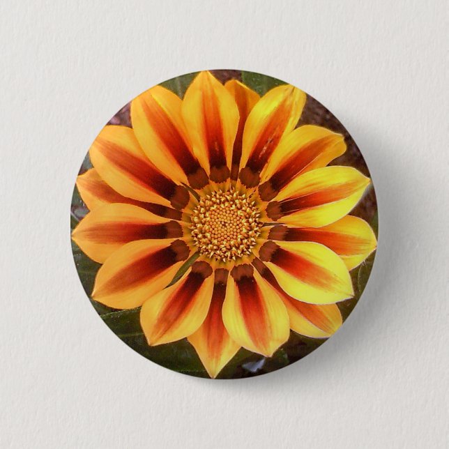 Gazonia Pin Knapp (Framsida)