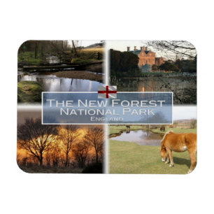 GB Förenade kungariket - England - New Forest N.P Magnet