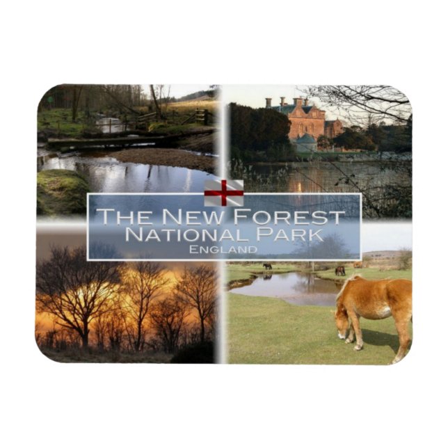 GB Förenade kungariket - England - New Forest N.P  Magnet (Horisontell)