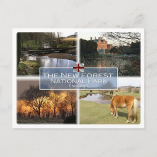 GB Förenade kungariket - England - New Forest N.P. Vykort