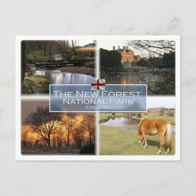 GB Förenade kungariket - England - New Forest N.P. Vykort (Framsida)