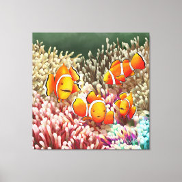 GB Print on canvas clown fish