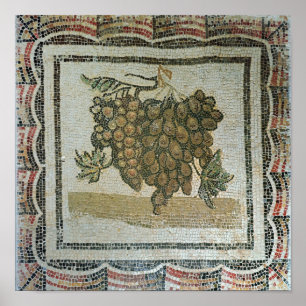Gbit vita druvor, romersk mosaik poster