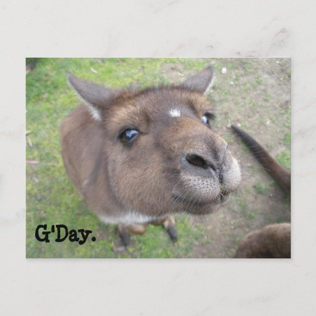 G'Day. Vykort (Framsida)