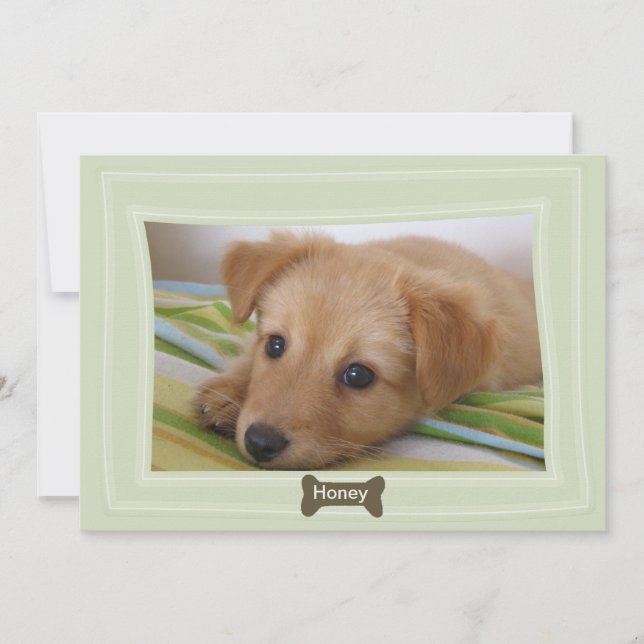 Ge a Hund a Bone Photo Pet-meddelande Meddelande (Framsida)