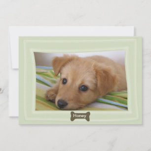 Ge a Hund a Bone Photo Pet-meddelande Meddelande