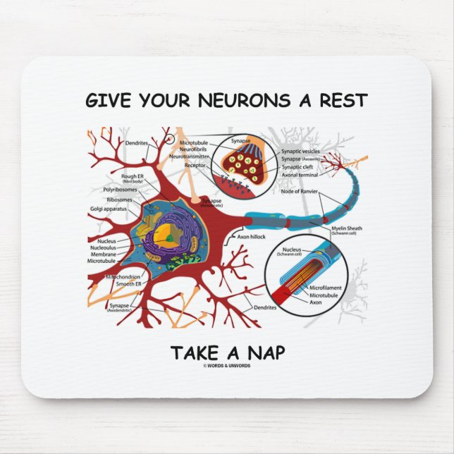 Ge dina Neurons Rest tar ett Nap Neuron Synapse Musmatta (Framsidan)