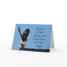 Ge ditt hjärt-Vinge, rödspårad Hawk-foto