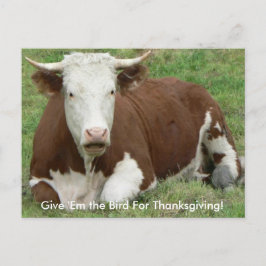 Ge "Em Bird for Thanksgiving Cow Postcard Helg Vykort