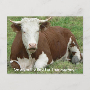 Ge "Em Bird for Thanksgiving Cow Postcard Helg Vykort