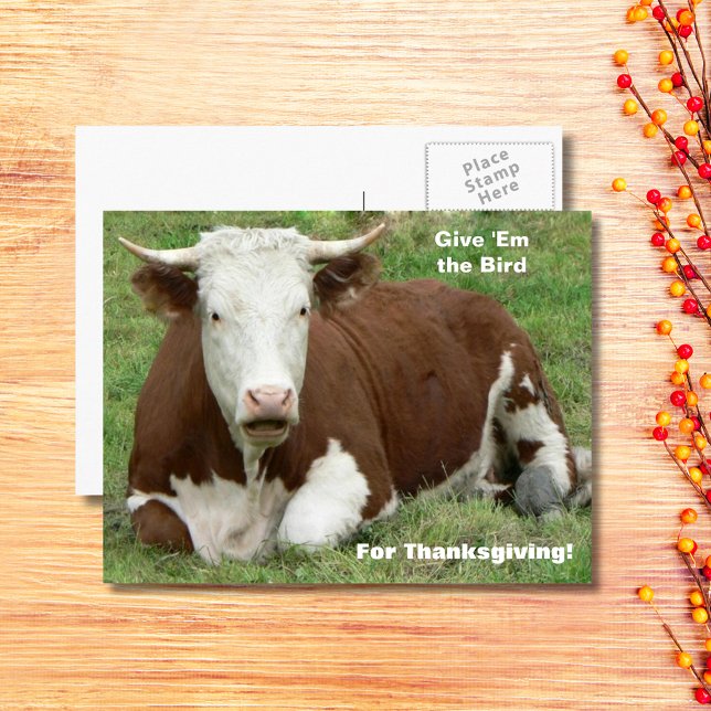 Ge "Em Bird for Thanksgiving" Helg Vykort (Give 'Em the Bird For Thanksgiving Holiday Postcard)