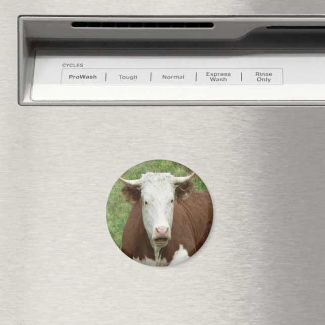 Ge "Em Bird for Thanksgiving" Magnet (In Situ (Dishwasher))