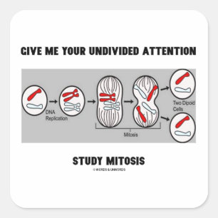 Ge me Din studie med odelad uppmärksamhet Mitosis Fyrkantigt Klistermärke