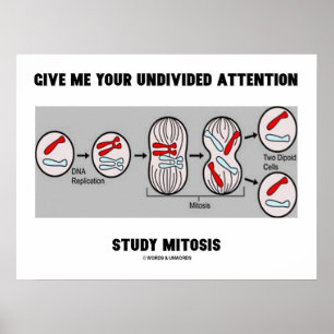 Ge me Din studie med odelad uppmärksamhet Mitosis Poster