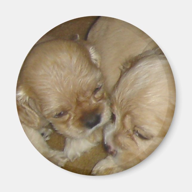 Ge mig en kyss magnet (Framsidan)