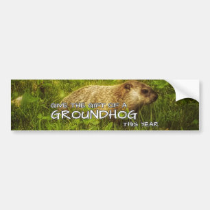 Ge presenten av en Groundhog i år-dekal Bildekal