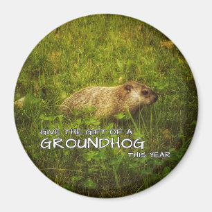 Ge presenten av en Groundhog i år. Magnet