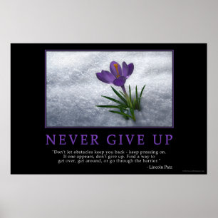 Ge sig aldrig upp poster