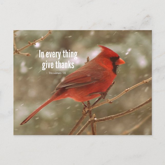 Ge tack Bible Verse Vykort (Framsida)