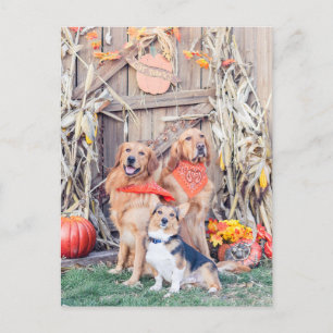 Ge Tack Cute Hundar och Thanksgiving Harvest Helg Vykort