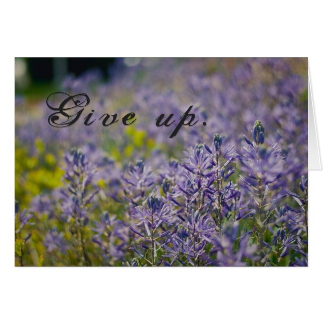 Ge uppåt hälsningskort (Framsidan Horizontal)