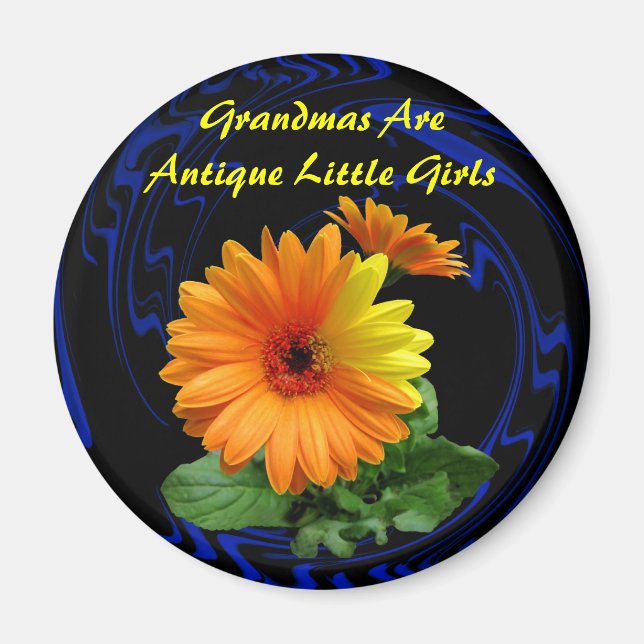 GEBER-DAISY - MAGNET (Framsidan)