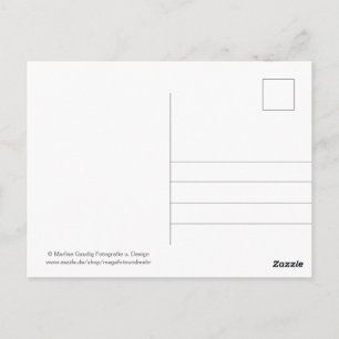 Geburtstags Schneckenpost Vykort