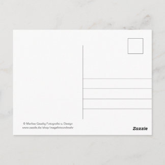 Geburtstags Schneckenpost Vykort