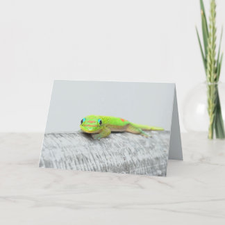 Gecko alla tillfällen gratulationskort kort