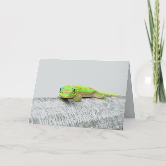 Gecko alla tillfällen gratulationskort kort (Framsida)