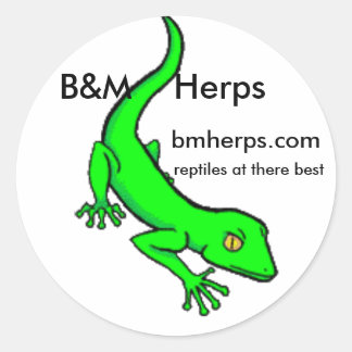 gecko B&M Herps, bmherps.com, reptilar på t… Runt Klistermärke