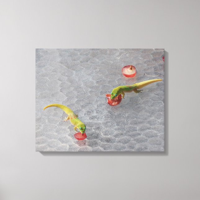 Gecko-cocktail två biet-arbetsyta canvastryck (Framsida)