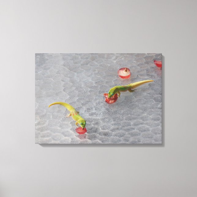Gecko-cocktail två biet-arbetsyta canvastryck (Framsida)