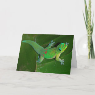 Gecko Cruising på natten Kort
