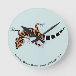 Gecko - dygnet runt rund klocka