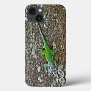 Gecko fodral