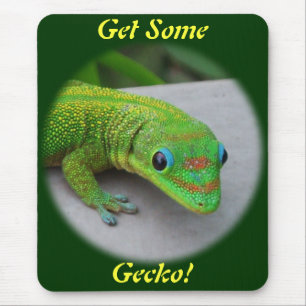 Gecko för dammdagen i guld - Audition och få lite Musmatta