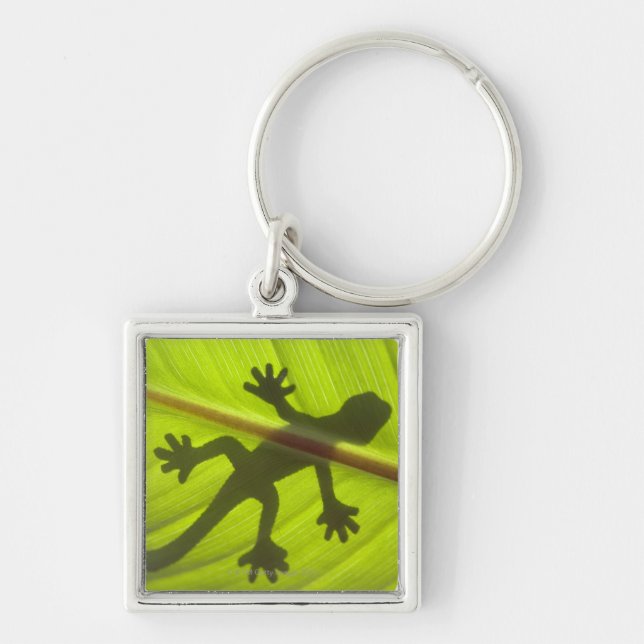 Gecko Fyrkantig Silverfärgad Nyckelring (Framsidan)