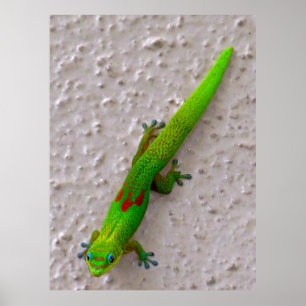 Gecko guld Dammdag Poster