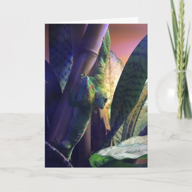 Gecko-hälsningskort nr 3 (kärlek) kort (Framsida)