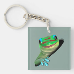 Gecko i Hål