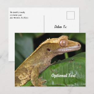 Gecko i Löv Vykort