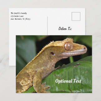 Gecko i Löv Vykort